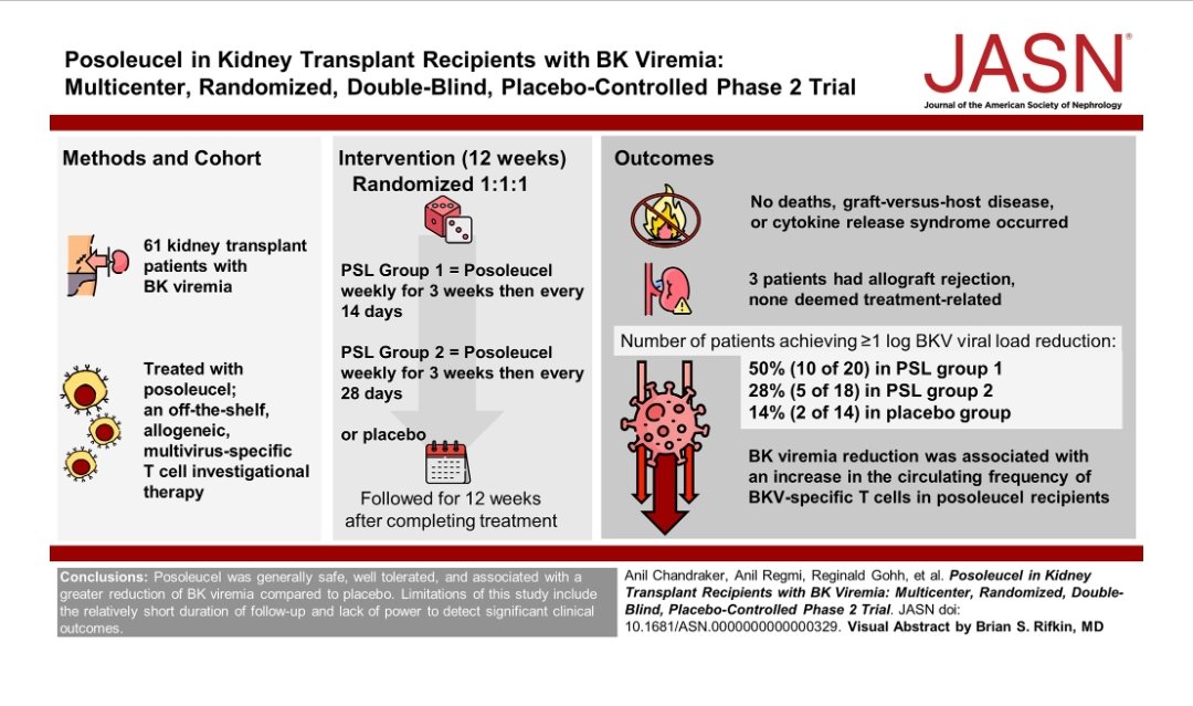 #NephroNuggets 🆕Do we finally have a drug to treat BK Virus in #kidney Transplant ❓🤔 Posoleucel ▶️ multivirus-specific T-cell therapy ▶️ acts in presence of viral Ag ▶️ controls viral replication 👀👇 @JASN_News #Nephrology #NephTwitter #NephX #MedX #MedTwitter #MedEd