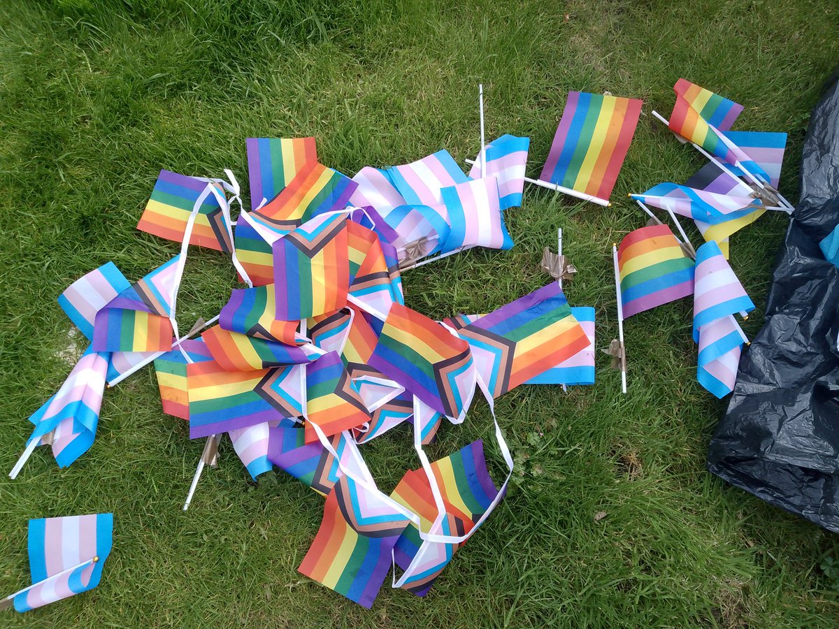 Whoever vandalised my garden overnight scattering these trans flags among the plants and taping them along the fence; what were you hoping to achieve? #DareToBeHonest