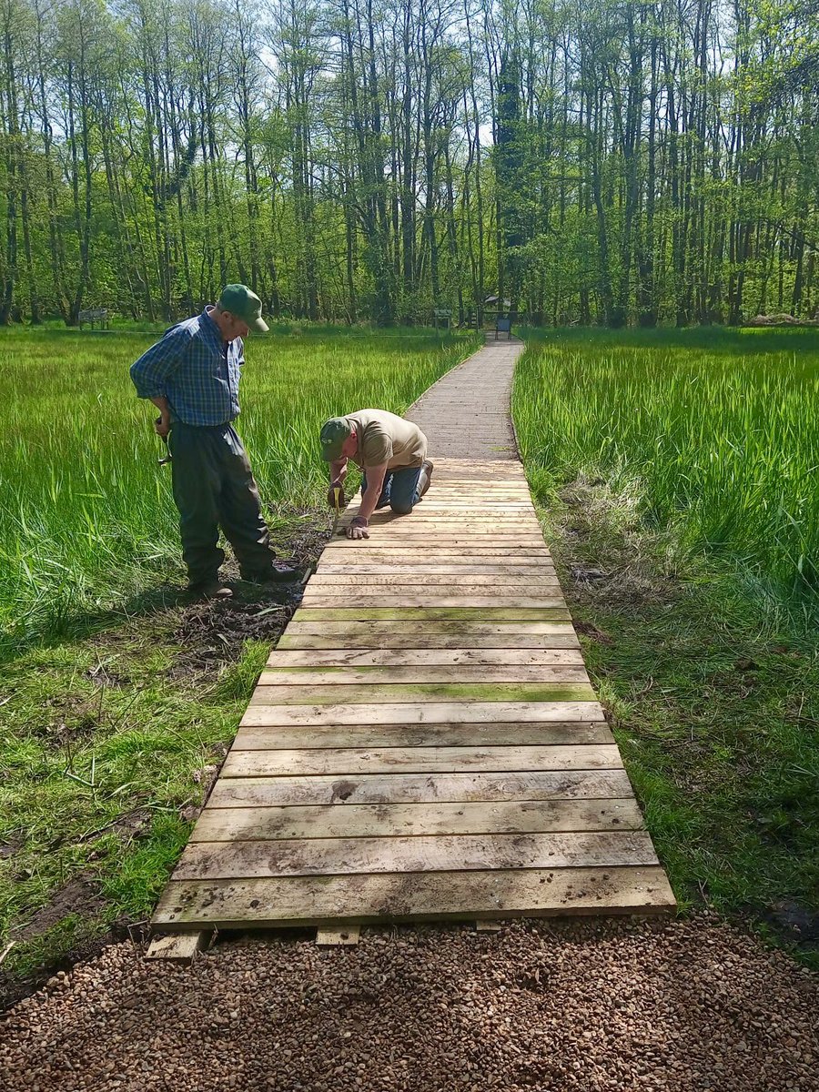 The Reserve Volunteers have done an amazing job, starting to replace sections of the boardwalk in the Wildflower Meadow. To be continued over the next few weeks… 🛠️🪚 📷 Reserve Volunteer, Andrew #AmazingVolunteers #WardensAtWork