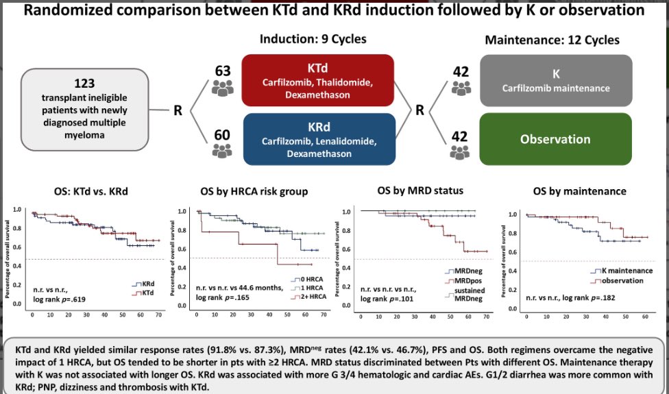 Upfront use of Carfilzomib (median age 75) @AjHematology #mmsm ➡️ onlinelibrary.wiley.com/doi/10.1002/aj… 🛑 maintenance K vs observation: no difference 🛑 G3 or more infections ~20% 🛑 ~20% of enrolled pts discontinued 2ry to AEs Safer options: Dara-Rd is the way to go for most pts >75