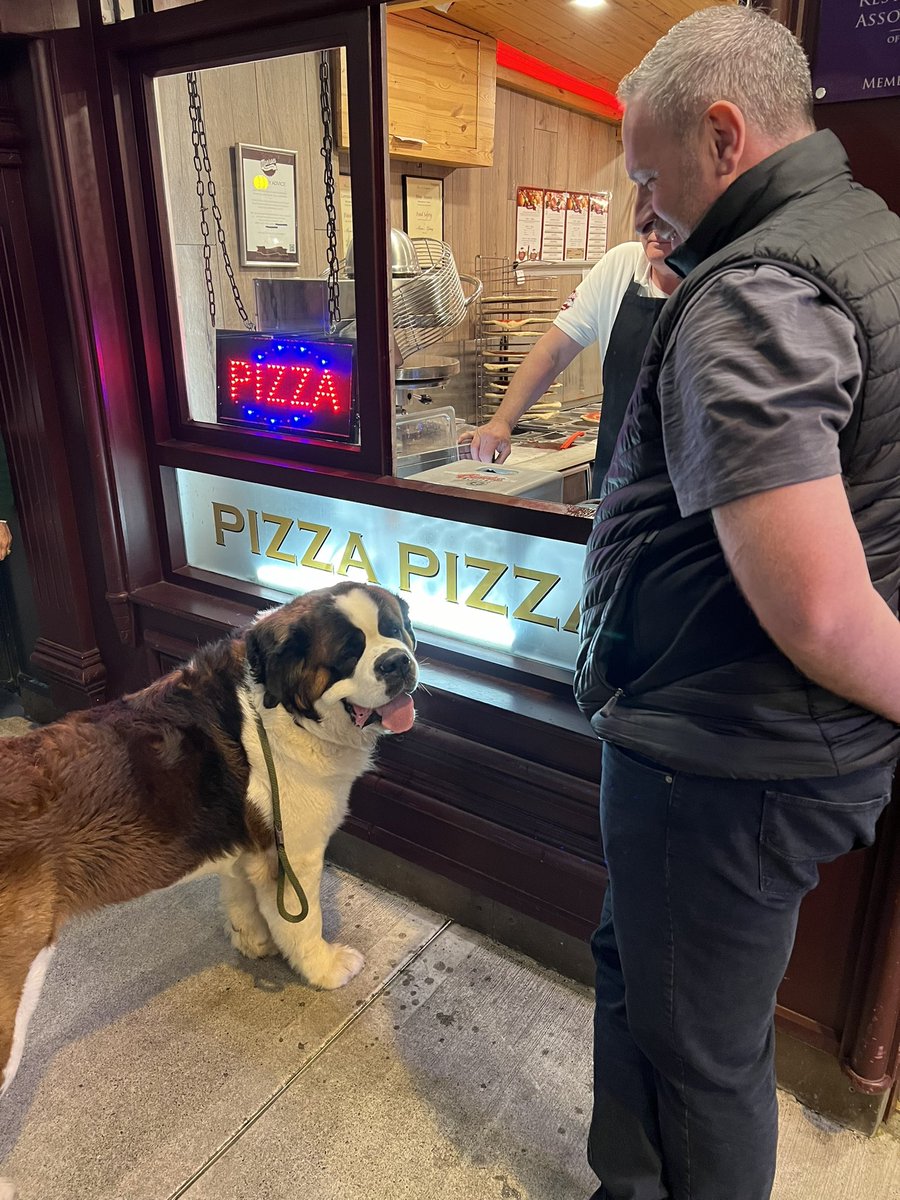 dog ordering pizza