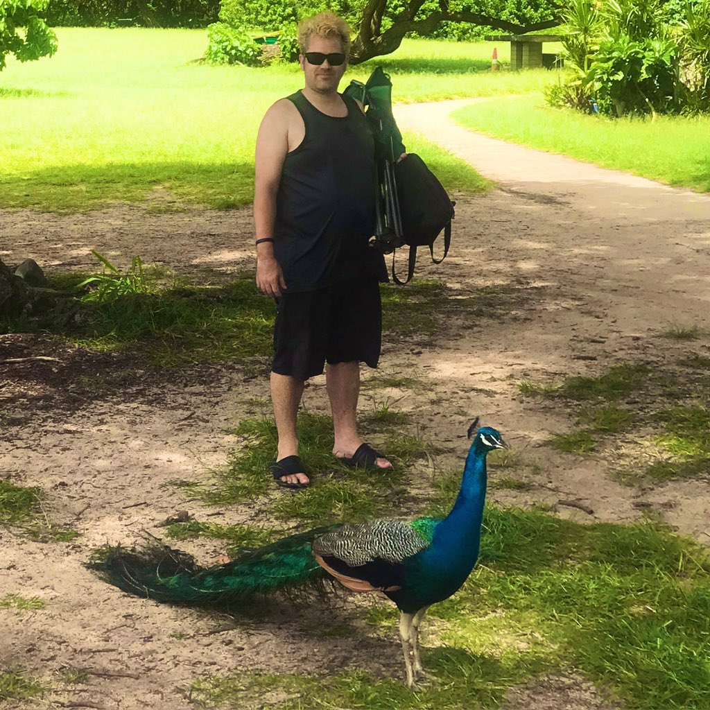Waimea Bay Day… I jumped off the rock and met a peacock. #HawaiiDays #IslandLife