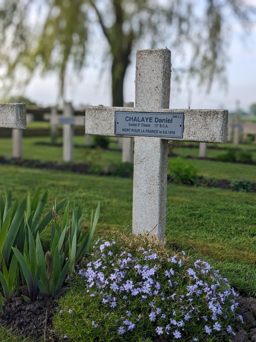 WSE History tweet media