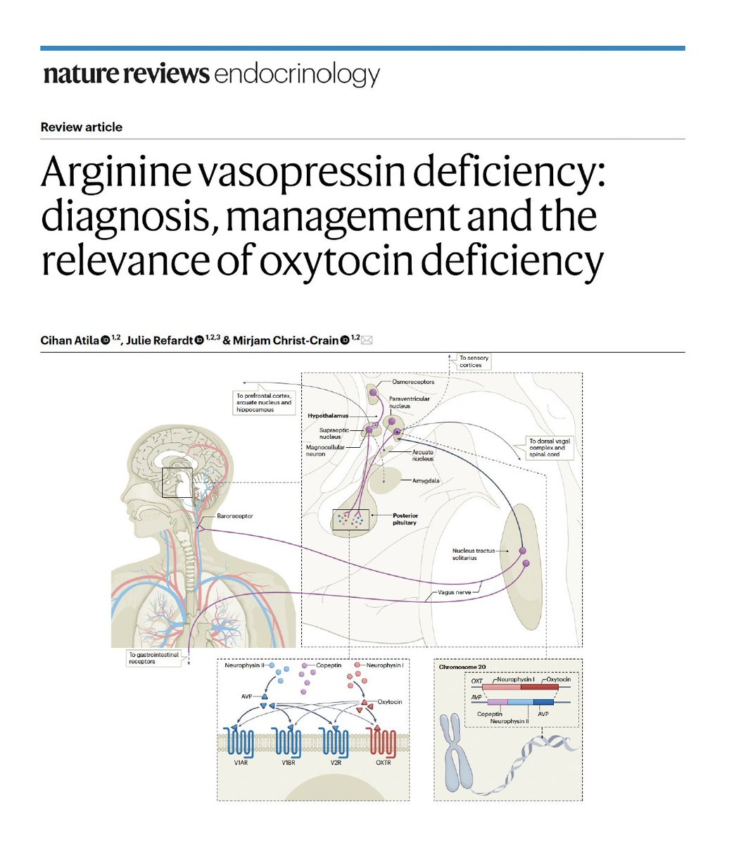 Clinical Neuroendocrinology Basel (@clinneuroendo) on Twitter photo Recent advancements in 'Arginine vasopressin deficiency', including renaming, updated diagnostic & treatment guideline, and new research on oxytocin deficiency. Link: dlvr.it/T6Hsrq
Check our review published in <a href="/NatureRevEndo/">Nature Reviews Endocrinology</a>
<a href="/AtilaCino/">Cihan Atila</a> @Julie_Celine <a href="/ChristCrain/">Christ-Crain 🇪🇺🇨🇭</a> Recent advancements in 'Arginine vasopressin deficiency', including renaming, updated diagnostic & treatment guideline, and new research on oxytocin deficiency. Link: dlvr.it/T6Hsrq
Check our review published in <a href="/NatureRevEndo/">Nature Reviews Endocrinology</a>
<a href="/AtilaCino/">Cihan Atila</a> @Julie_Celine <a href="/ChristCrain/">Christ-Crain 🇪🇺🇨🇭</a>