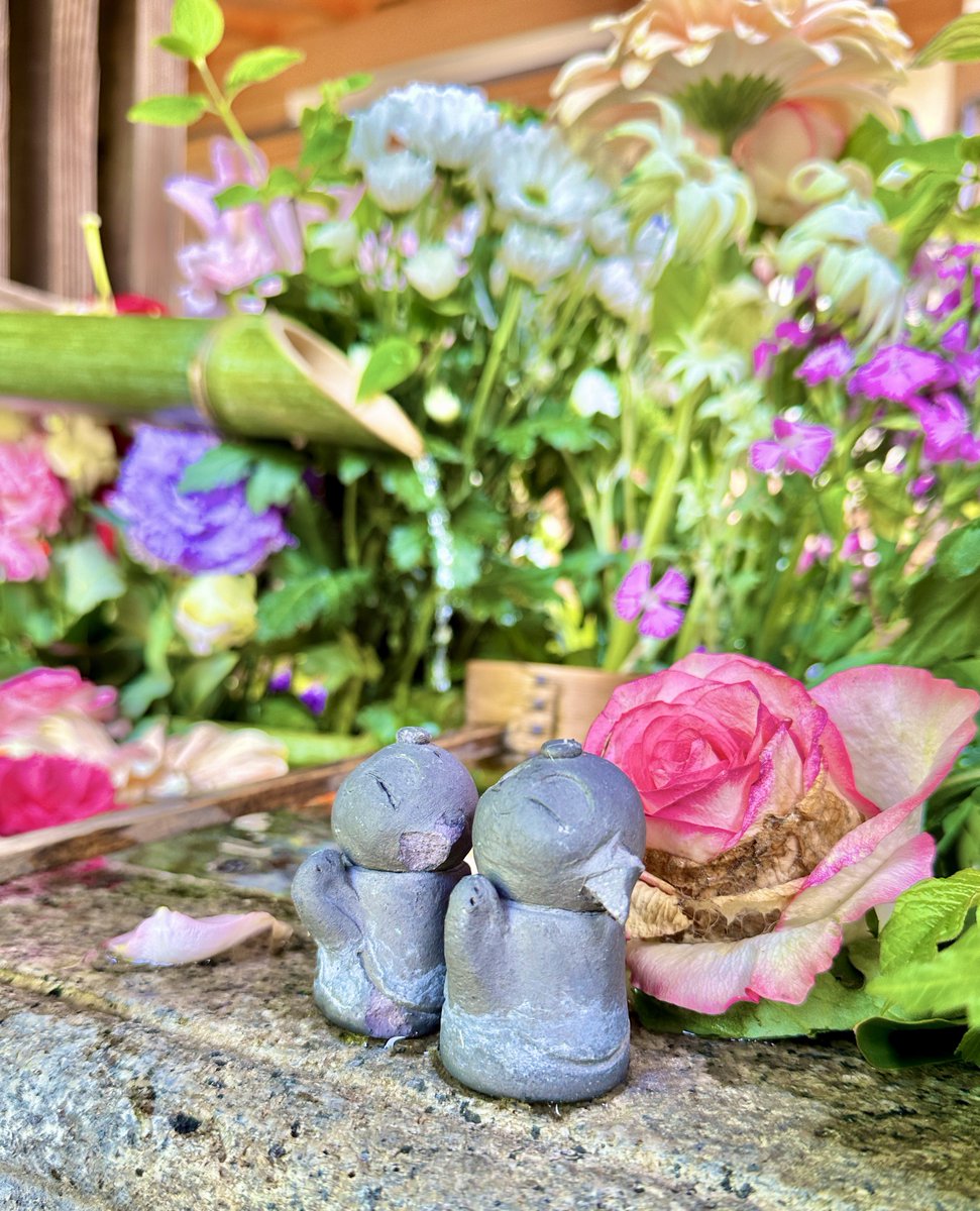 勝林寺の花手水