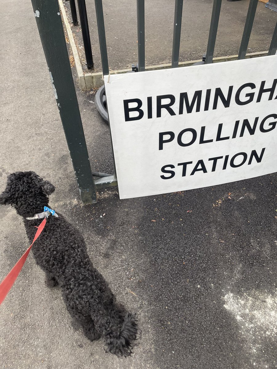 Archie is a scholar of first past the post but has been overwhelmed that his earlier picture might allow him to claim first to post! #DogsInPollingStations