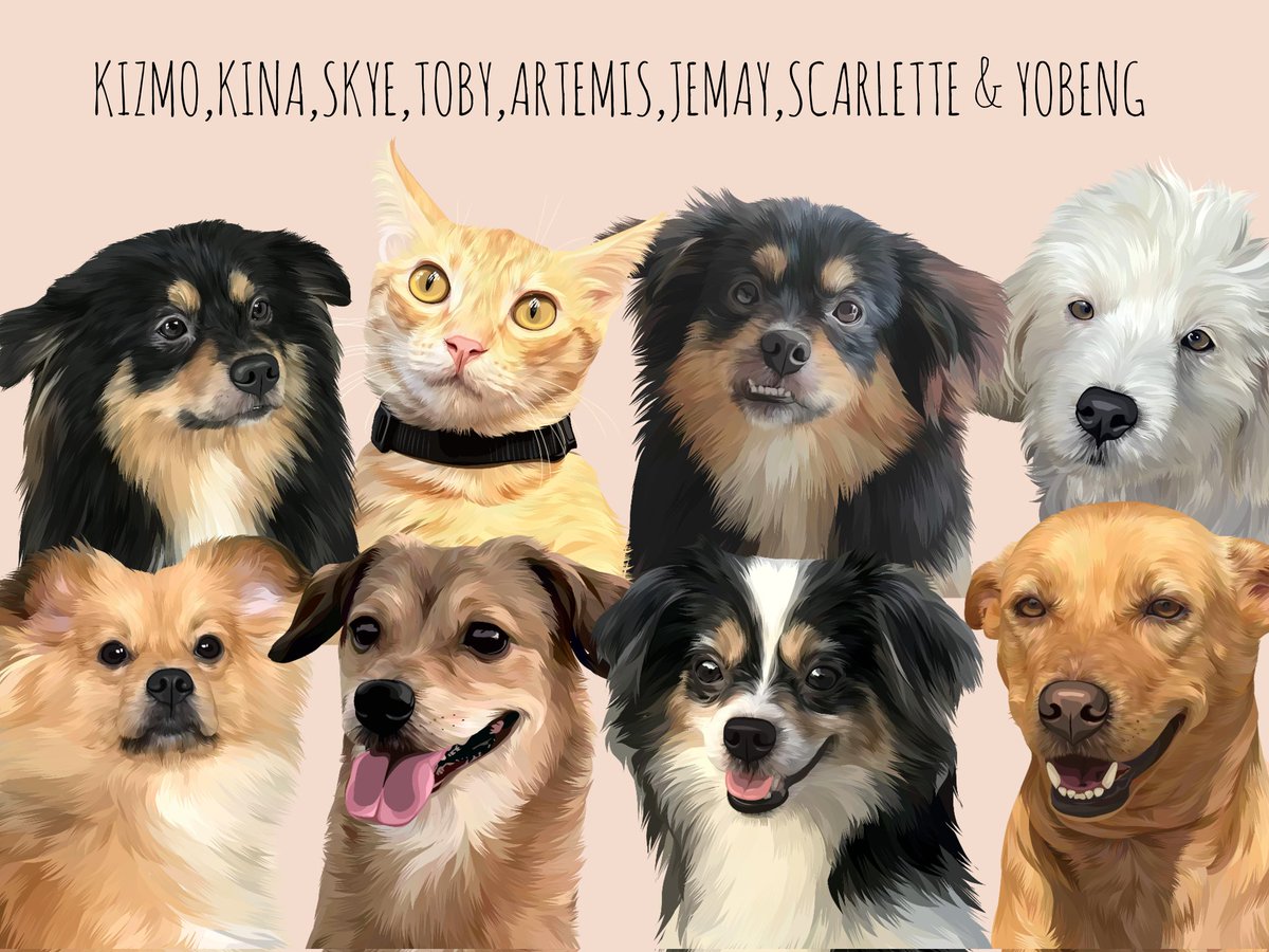 Lovieee03's tweet photo. Bound to Southern Leyte😍🥰
Thank you so much po🥰❤️

#dogs #CatsOfTwitter #artph #digitalartwork #sintraboard #commissionsopen https://t.co/NhbUxmNlOk