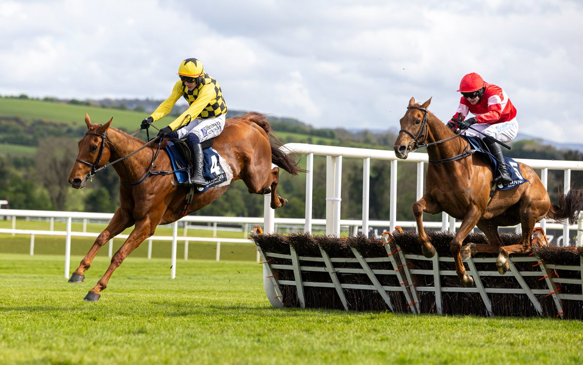 'He's danced every dance this year.'

Paul Townend was full of praise for Dancing City after
the @WillieMullinsNH trained star gained a third Grade One success for the season 👏🏆

🥇@LeopardstownRC
🥉@CheltenhamRaces
🥇@AintreeRaces
🥇@punchestownrace

#FeedYourDesireToWin