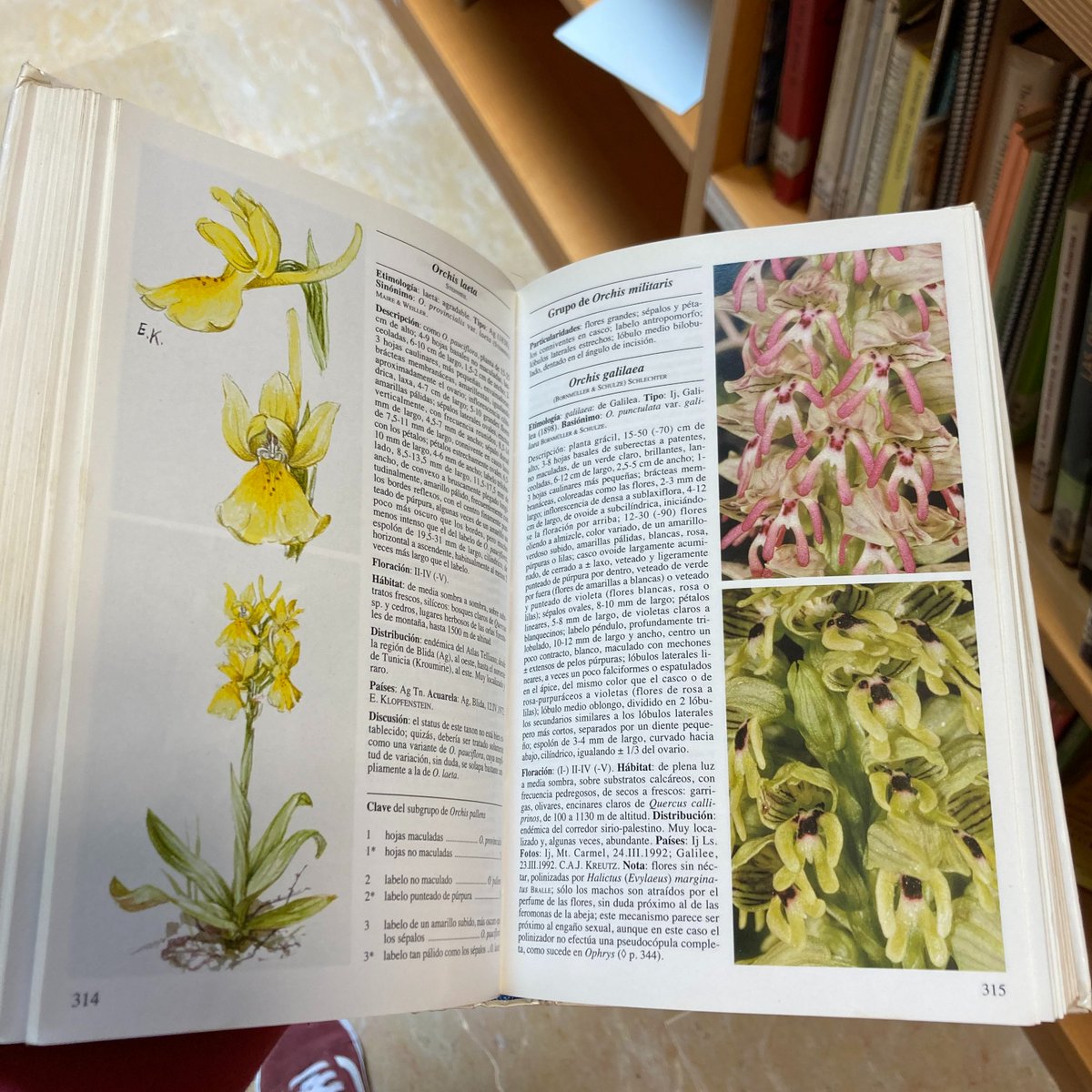 🌿Maig està ple d'esdeveniments a la ciutat. Aquest cap de setmana al @JardiBotanicUV tenim una exhibició d'orquídies organitzada per OVAL, amb xarrades, tallers i activitats... I a la #BibliotecaBotànicUV podeu trobar molts llibres que parlen d'elles: ir.uv.es/lrHfQ5O