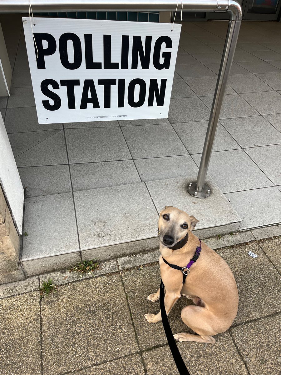 Bernie came with me to vote for @Zak_Deakin + @AndyBurnhamGM. He has a soft spot for Andy because he let dogs on trams 🌹  #dogsatpollingstations