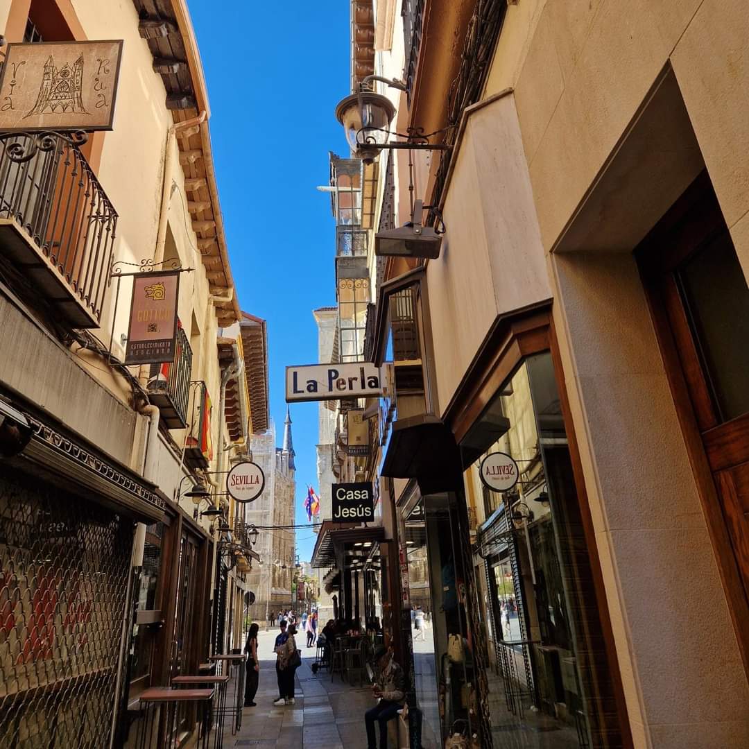 Nuestra residencia de mayores está en León y por eso, de vez en cuando, nos gusta dar un paseo por sus calles y mostrar algunos de nuestros rincones favoritos de la ciudad.
En este caso compartimos esta foto de la calle de La Rúa.
#leonesp #photoftheday