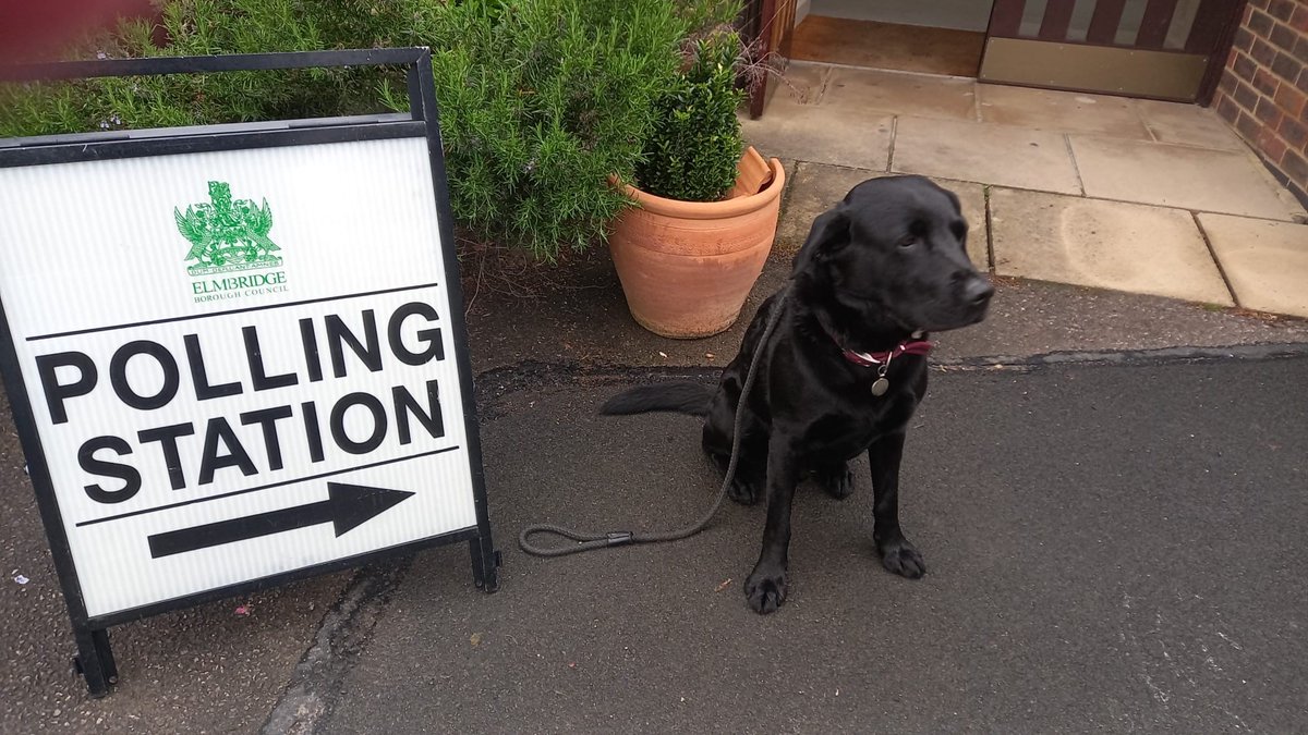 Rocko is rocking it at his local polling station this morning! #dogsatpollingstations 🐶