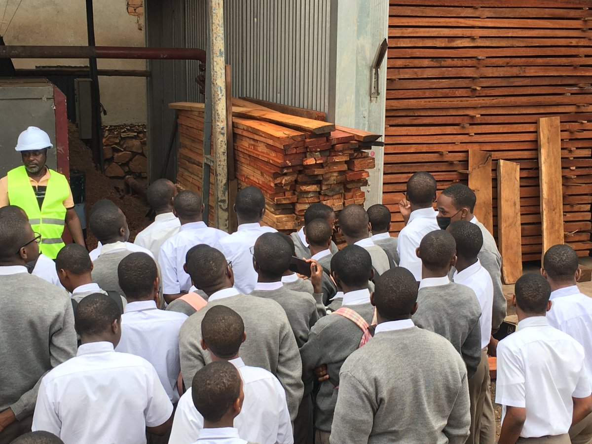 Mayondo Furnishing tweet media