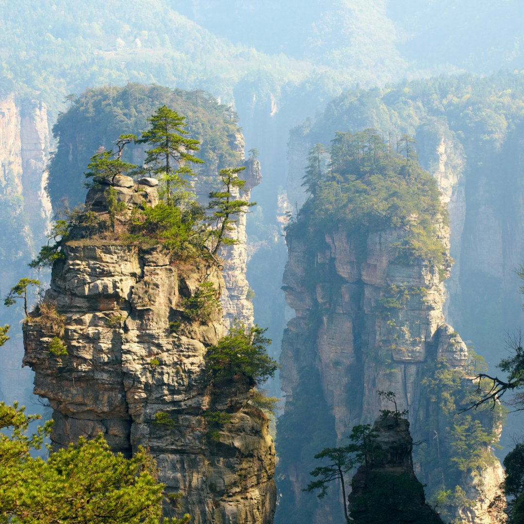 🤔#INSOLITE Le Parc national de Zhangjiajie en Chine est connu pour ses pics de grès karstiques spectaculaires, qui ont inspiré le décor du film 'Avatar' !
•
#selectour #travel #voyager #traveling #naturelovers #discoverglobe #travellife
