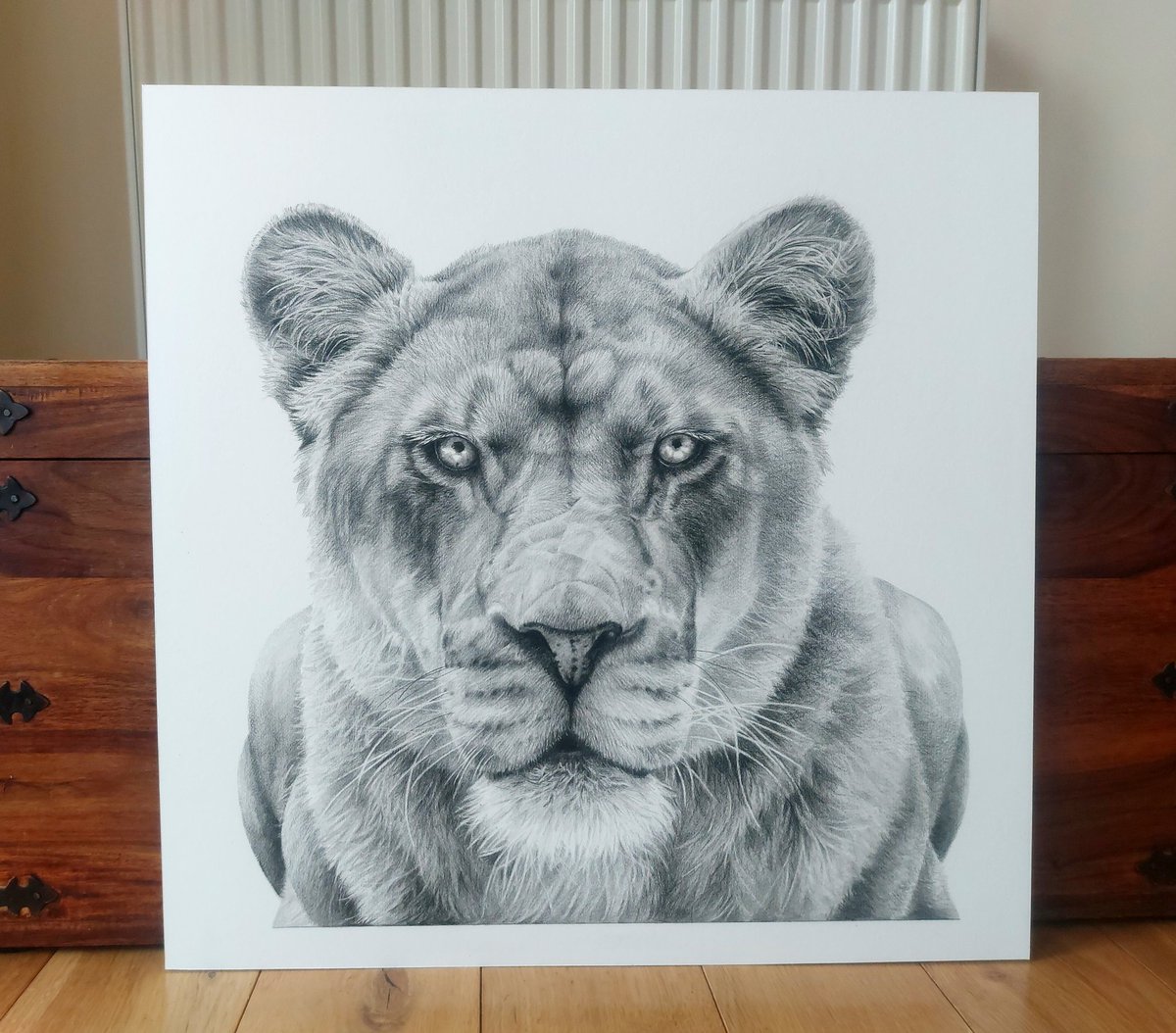 Thank you for all the lovely comments on my latest lion drawing. Another one on the list for scanning. The original artwork is available to purchase. On to the next.... #drawing #art #lions