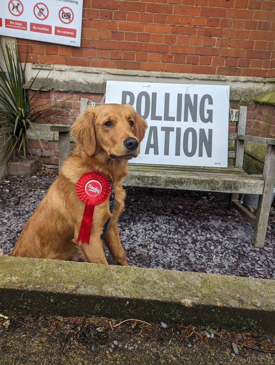 Titan says you should all vote for @SadiqKhan and how could you say no to that face! 

But he would like a new policy of dog treats at polling stations 😂

#VoteSadiq #DogsAtPollingStations