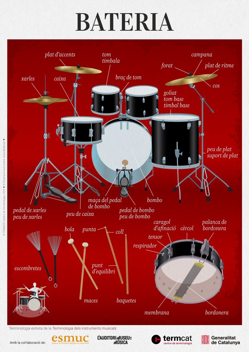 El @termcat publica una nova infografia interactiva dels noms de les parts de la bateria. breu.cpnl.cat/mzo