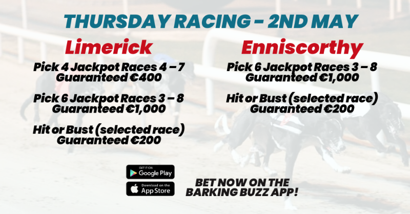 𝐓𝐇𝐔𝐑𝐒𝐃𝐀𝐘 𝐑𝐀𝐂𝐈𝐍𝐆 𝐎𝐅𝐅𝐄𝐑𝐒

🔥 Pick 4 & Pick 6 Jackpot Races
💶 Hit or Bust (selected race)
🤝 FREE BET for New Customers

Bet on the #BarkingBuzz App or visit: barkingbuzz.grireland.ie 

#GoGreyhoundRacing #DogRacing