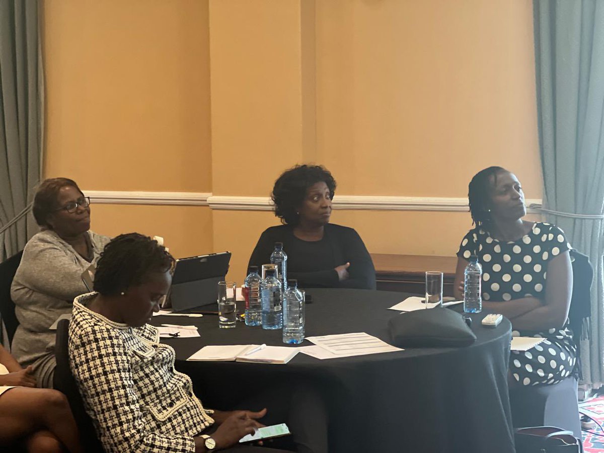 We are with Centre for Rights Education and Awareness and Community Advocacy and Awareness Trust (CREAW) at Sarova Stanley for the National Stakeholder Consultative Forum. The convening aims at discussing the importance of the five critical legislative amendments. The discussion…