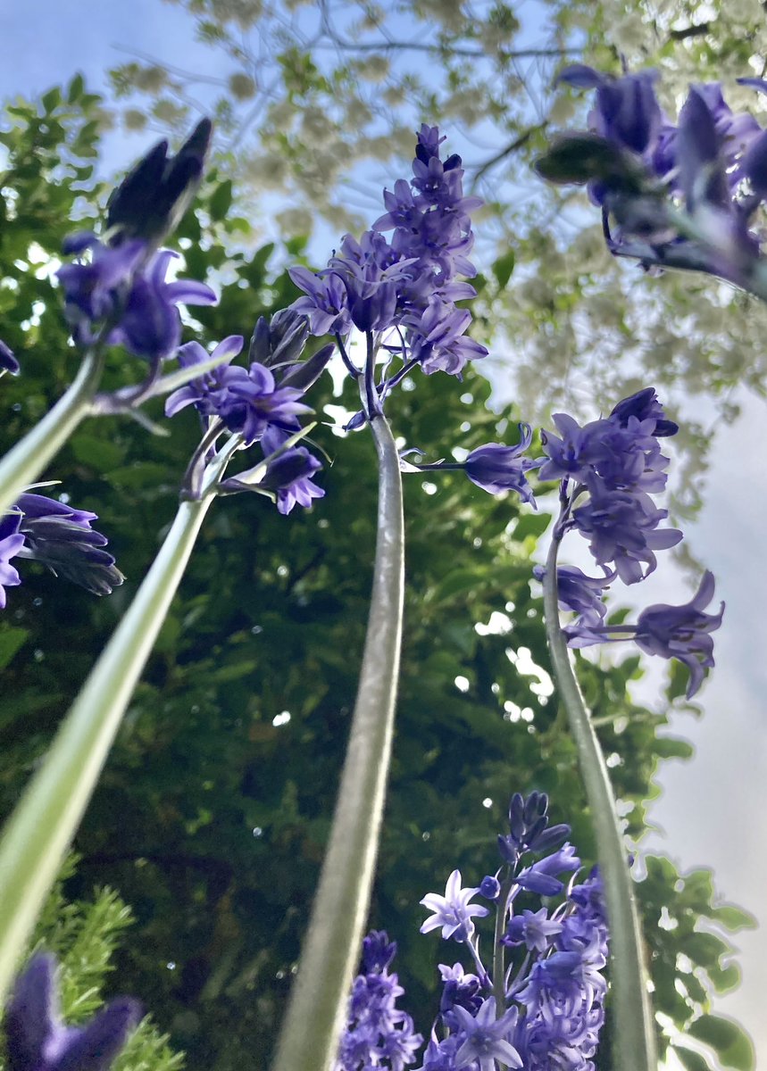 Looking up.