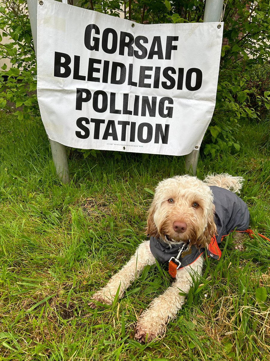 The most important part of democracy.  #dogsatpollingstations