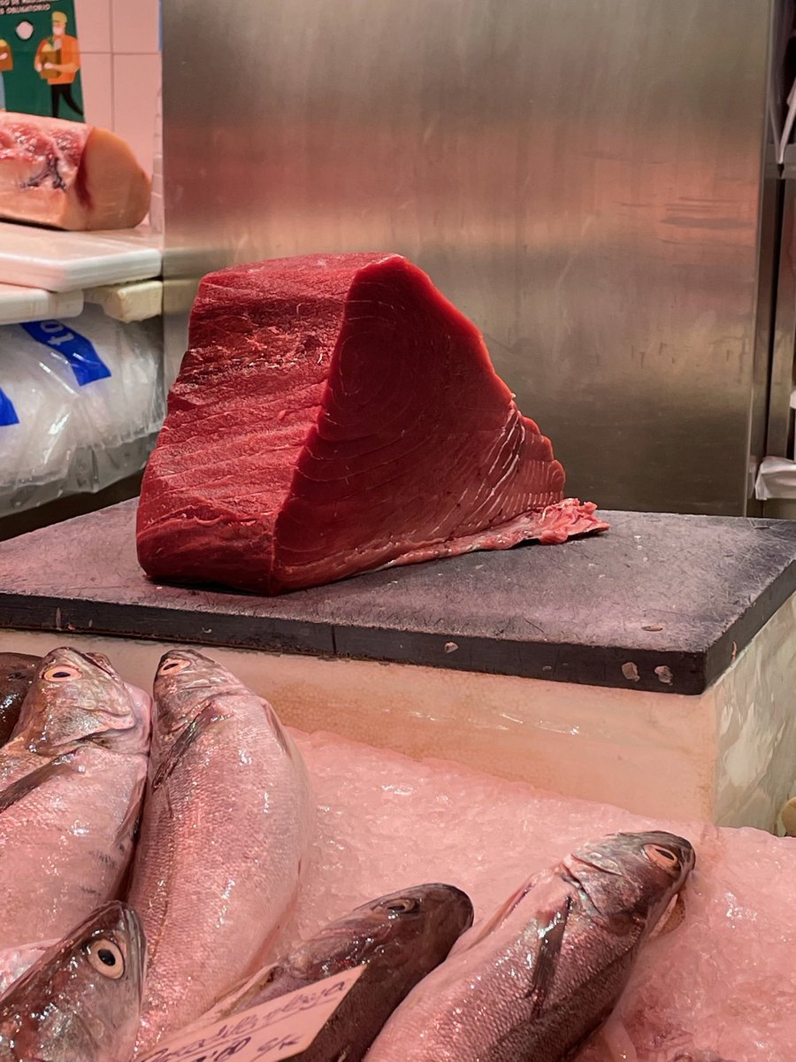 mengeupeixdaci's tweet photo. #diamundialdelatonyina #WorldTunaDay
Un pescador de Borriana tenia a fins dels s. XV:

 “una barca y hun exabech ab les veles e rems, (…) cinch peses de *tonayres* velles y molt sotils, (…)”

Menjava bones tonyines l’amic
#mengeupeixdací
 🐟🐟🐟 https://t.co/Ucl85VkvjO