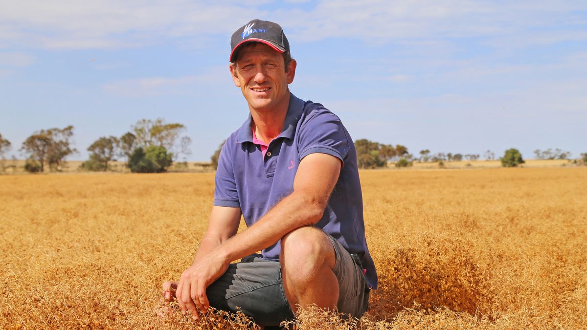 Research agronomist @TrengoveSam says strategic tillage can be a fast & effective way to correct subsurface acidification on some soil types. See the latest results on how liming and spading can be deployed to help. 👉 bit.ly/3wjGkQT