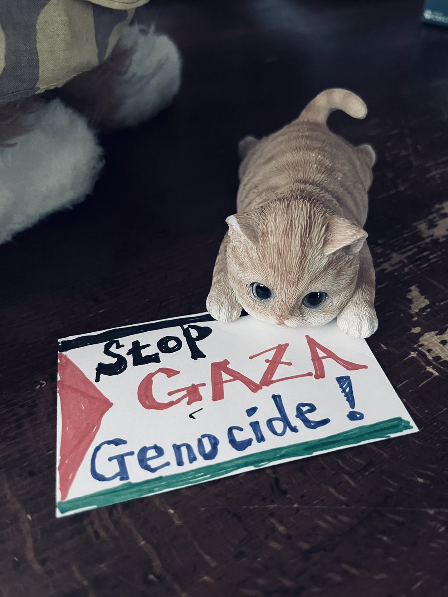 受け取った！！
#StopGazaGenocide