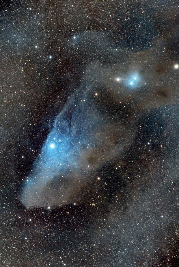 IC4592Blue horsehead nebula  (Dalemazkour) - AstroBin  astrobin.com/37xaih/