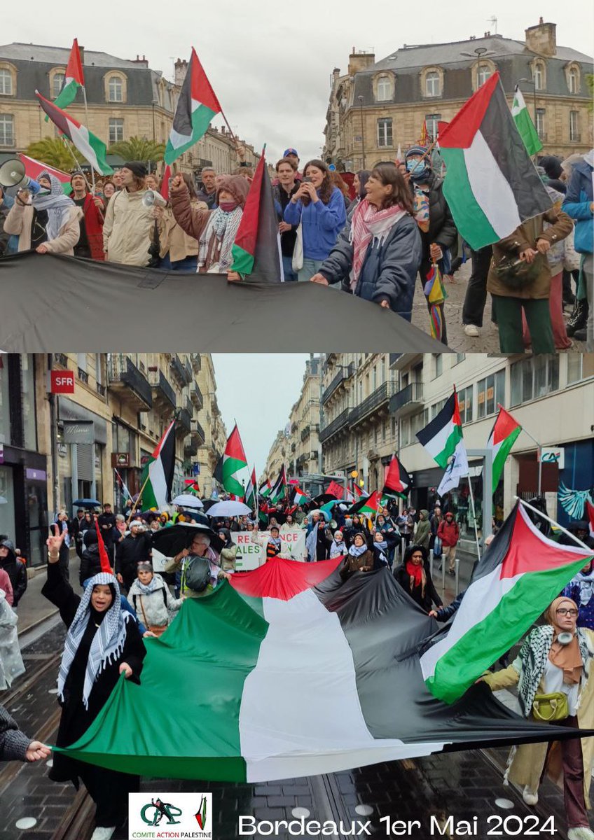 🔴The protest in Bordeaux France today, condemning the crimes of the occupation regime.