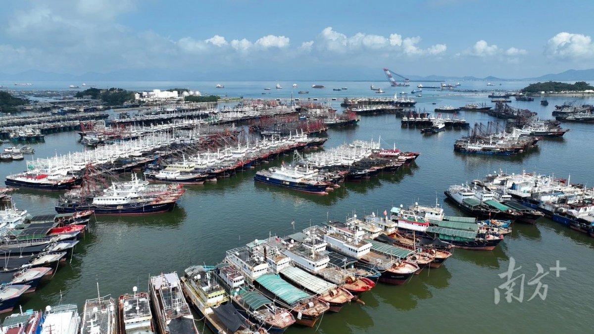 The summer fishing ban in the South China Sea will start at 12:00 on May 1st. At present, all 21733 fishing boats that are required to rest in Guangdong have returned to port, achieving the goal of 'ships entering the port, people disembarking, and nets entering the port'.