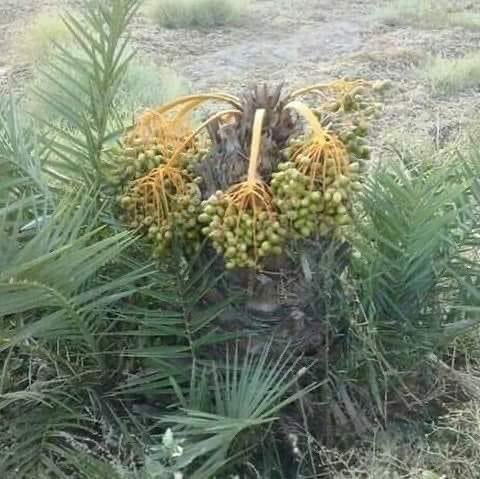 alamoudi2000968's tweet photo. البعض يعطي في اصعب الظروف. https://t.co/uQ6a3tUQRV