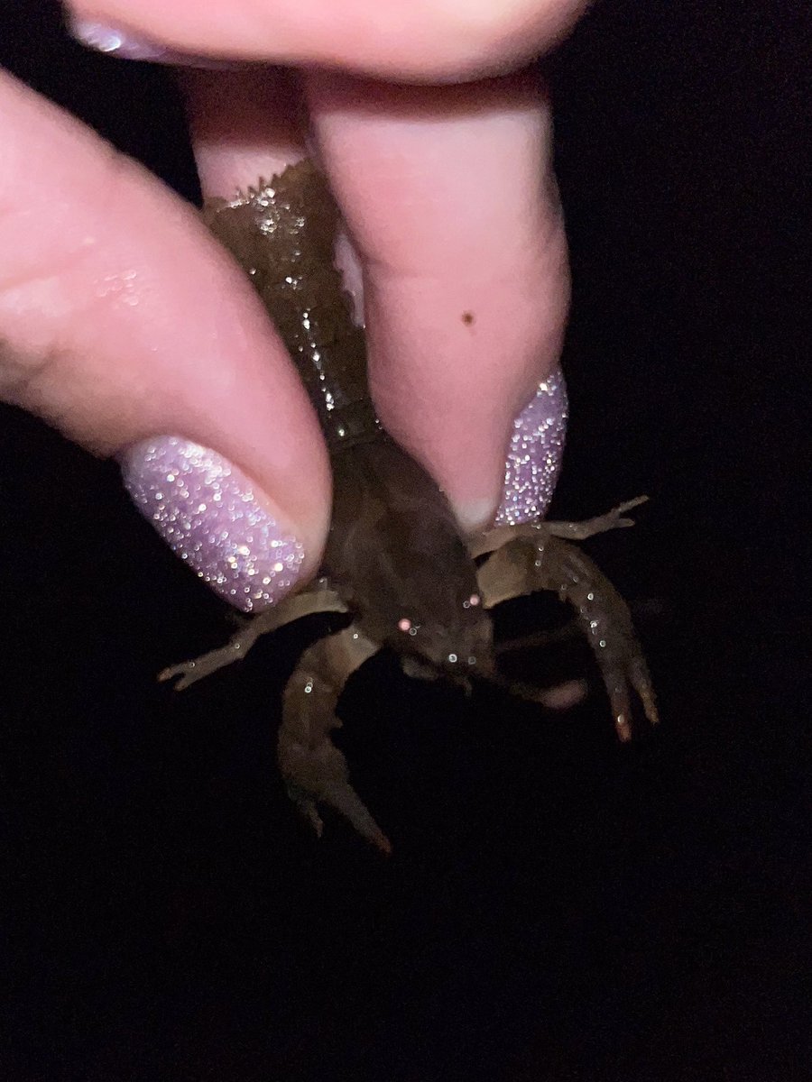 Femgirl Fishing🏳️⚧️🎣 tweet media