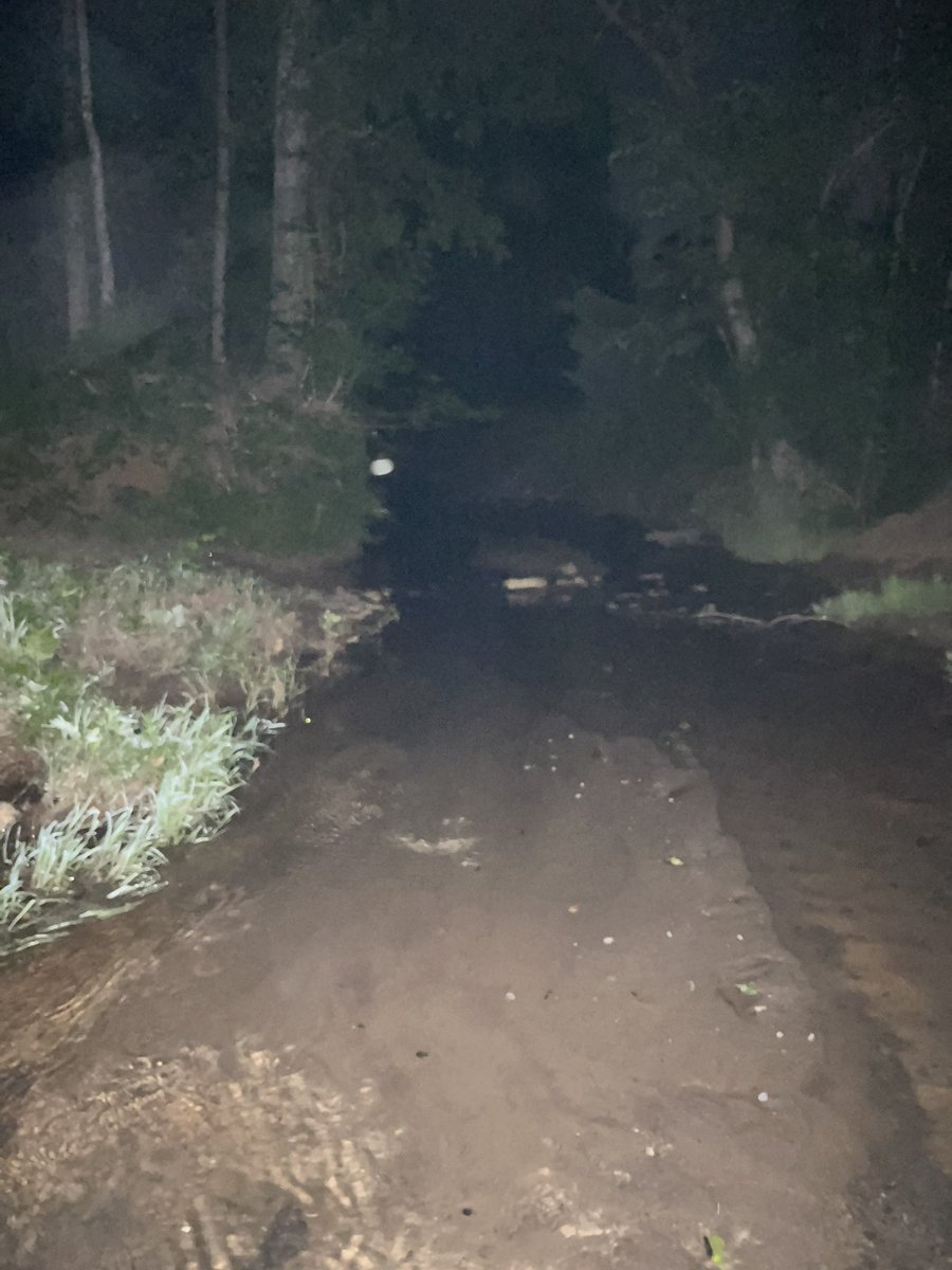 Femgirl Fishing🏳️⚧️🎣 tweet media