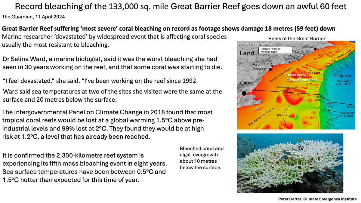 RECORD BARRIER REEF BLEACH GOES DOWN 60 FEET Record sea surface heat over the Barrier Reef reaches 20 meters below the surface- so this is an unusually deadly bleach. theguardian.com/environment/20… #coral #climatechange #globalwarming