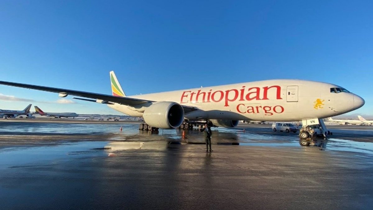 Ethiopian Cargo & Logistics Services adds more Destination to its Route #logisticsnews #ethiopian #ethiopiabusiness #businessexpansion #africabusiness #globalnews #internationalnews #cosmopolitanthedaily shorturl.at/ovO09