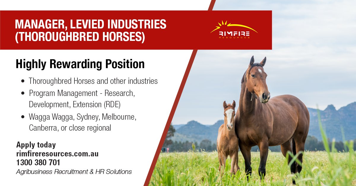 Lead and manage RDE initiatives in thoroughbred horses in Australia.

Apply today: adr.to/cftuaai

#horses #research #thoroughbred #agriculture #agribusiness #agjobs #rimfireresources