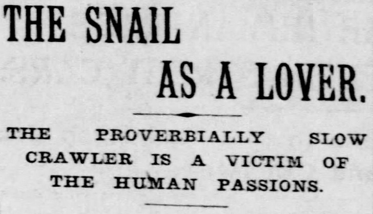 St. Louis Post-Dispatch, Missouri, May 2, 1897