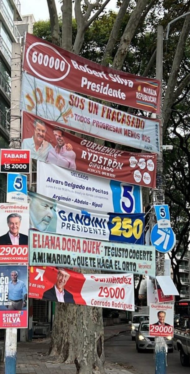 El alambrado de belvedere después de que te gastaste casi una luca en la entrada