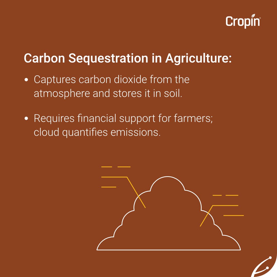 Read more and join us on this transformative journey -  cropin.com/blogs/from-tra…

#Agtech #AgricultureInnovation #TechTransformation #ModernFarming #SmartFarming #FutureOfFarming