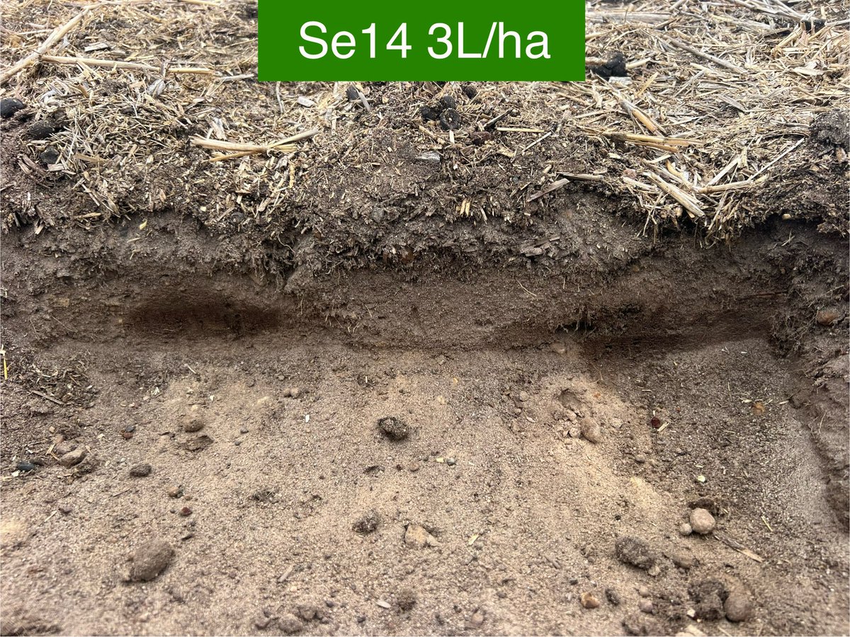 Stirling Ag tweet media