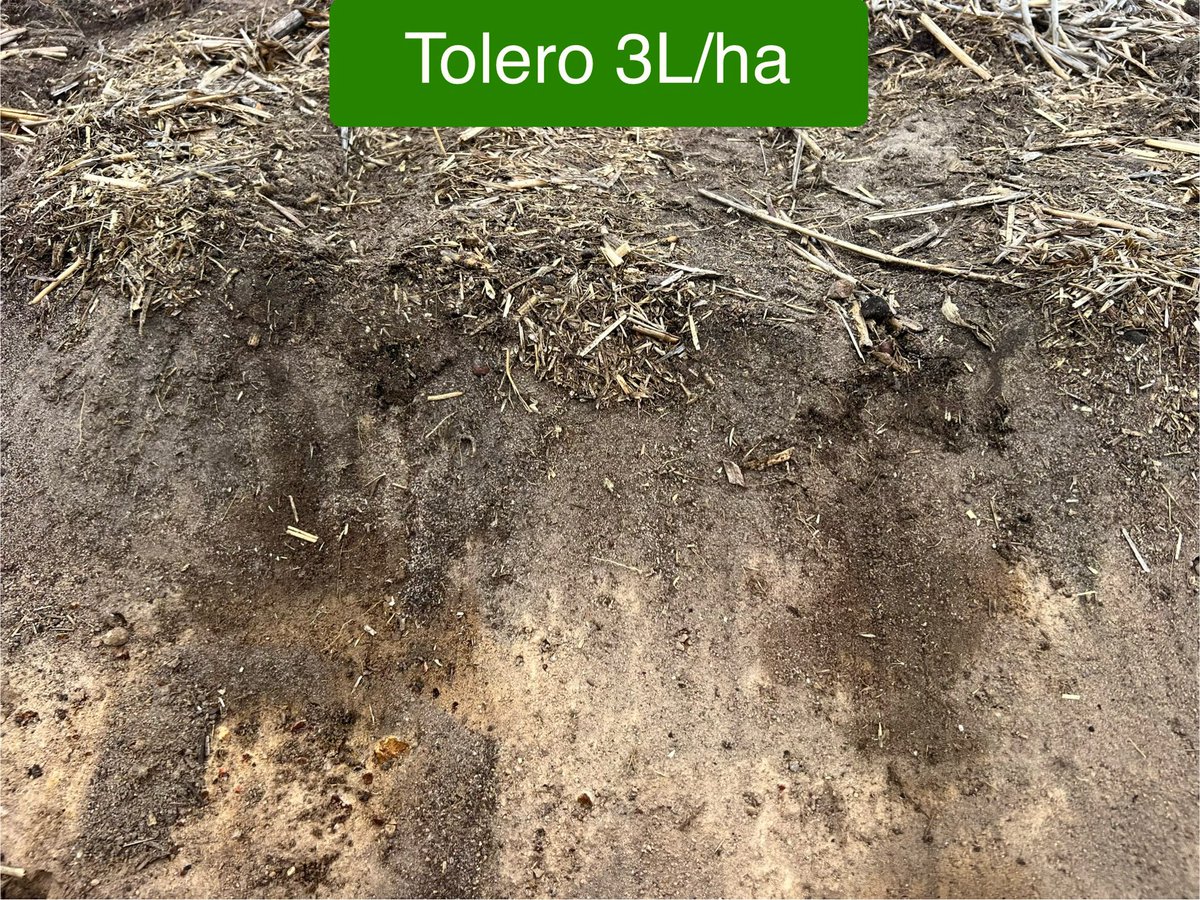 Stirling Ag tweet media