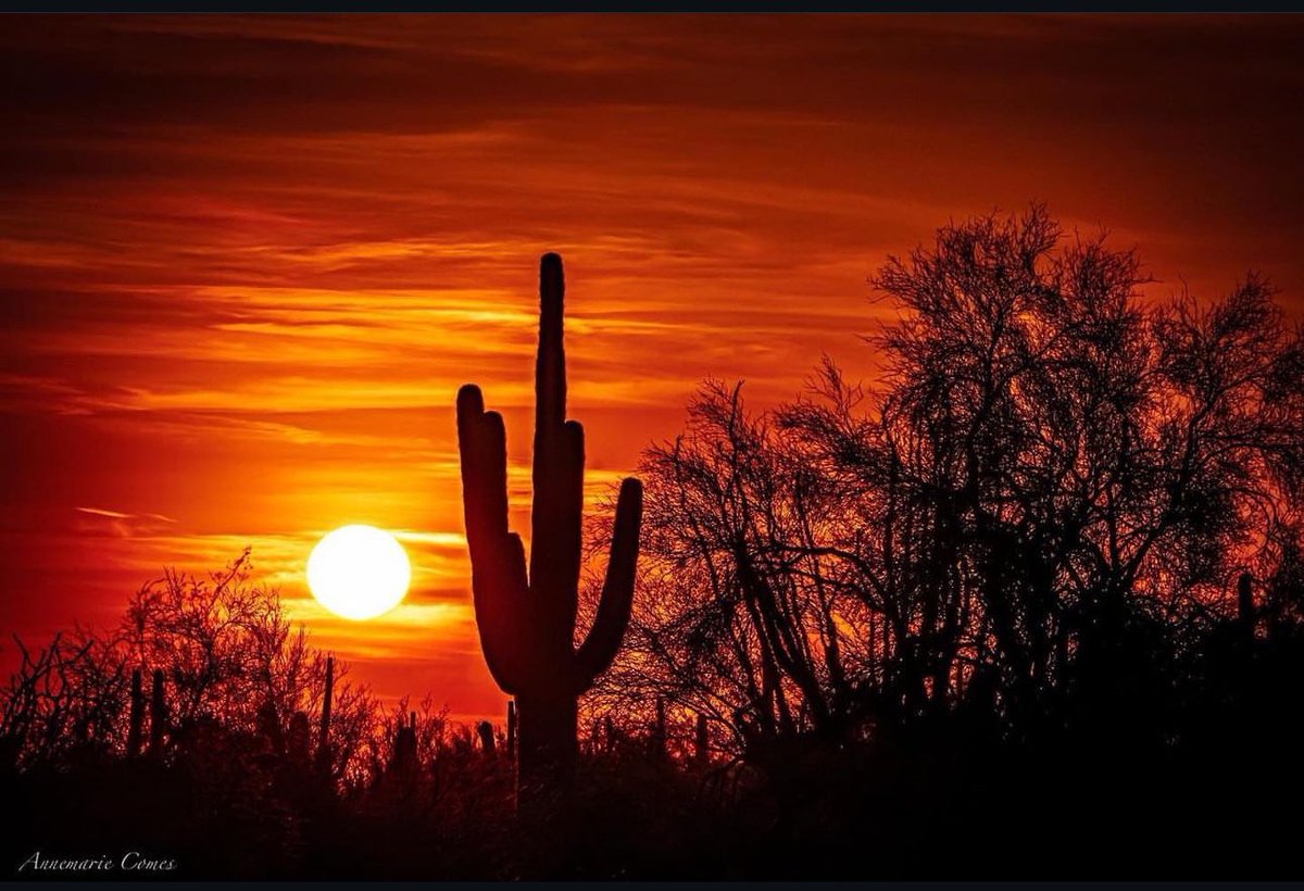 Have an Amazing Day! #Arizona #Sunset #Beauty
