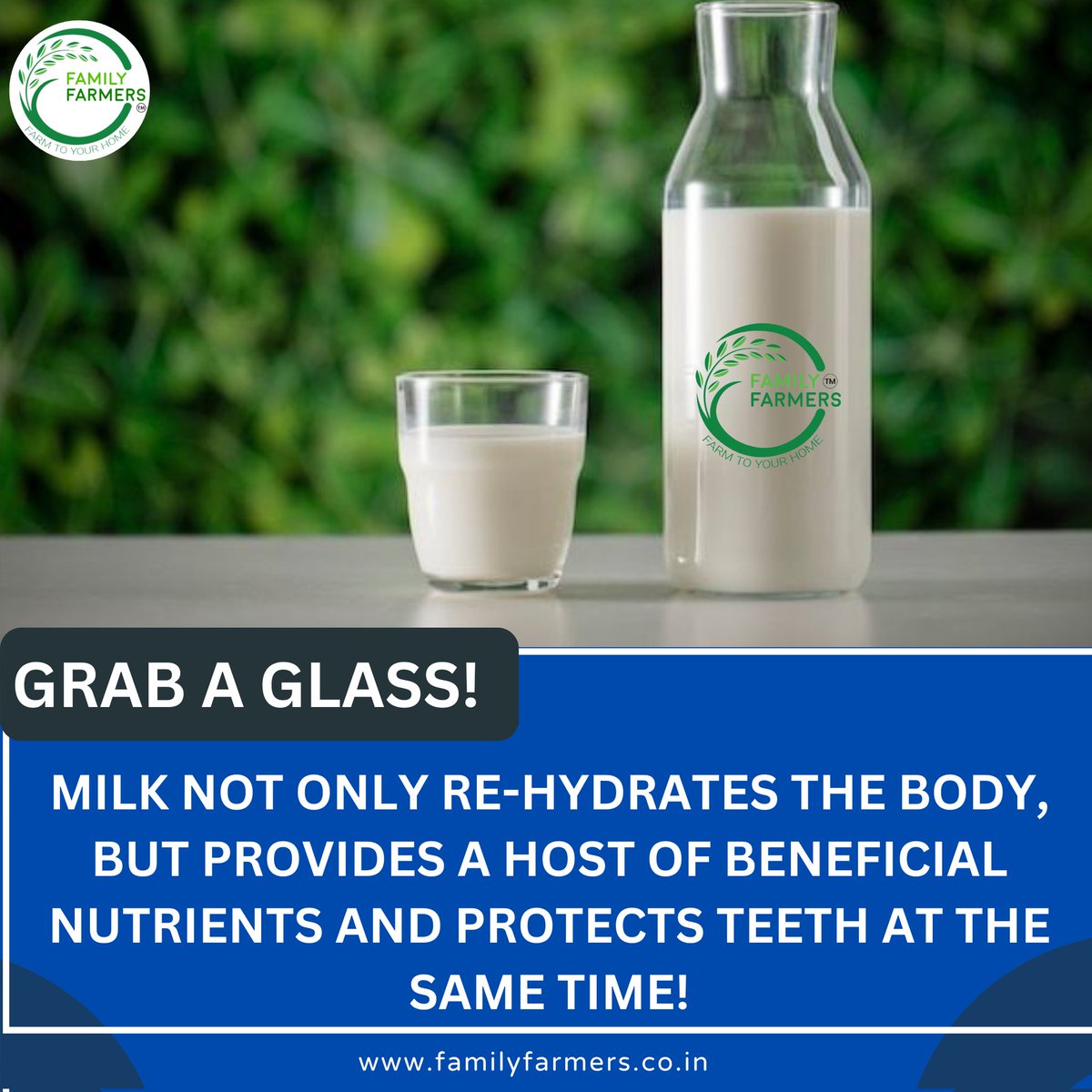 Milk facts of the day.
. 
. #didyouknowfacts #didyouknow  #facts #factsaboutmilk #factsofmilk #dailyfacts