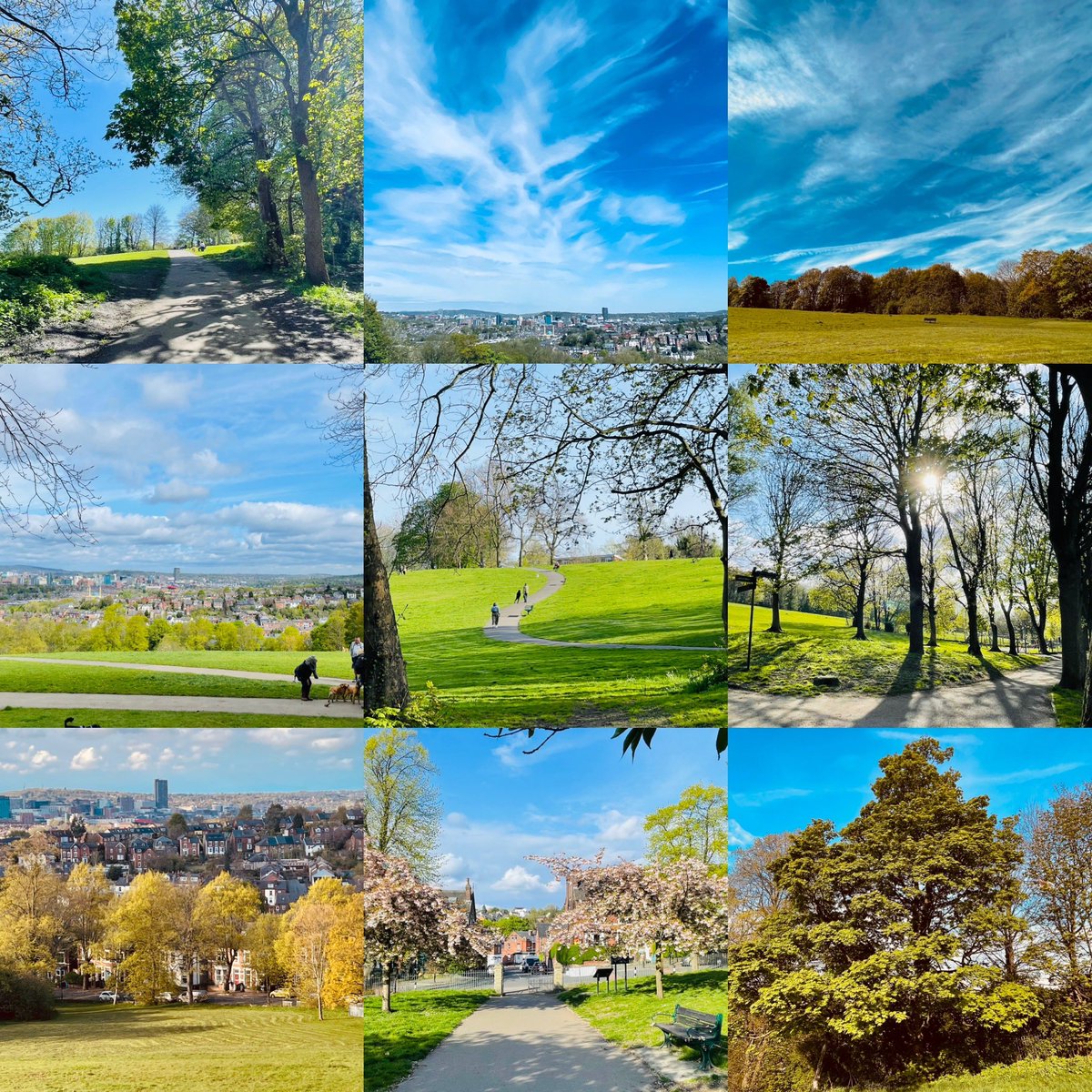 We’re so lucky to have so many parks & green spaces in Sheffield. It’s the greenest city in England y’know. #loveparks @ParksSheffield @katejosephs @tomhunt100