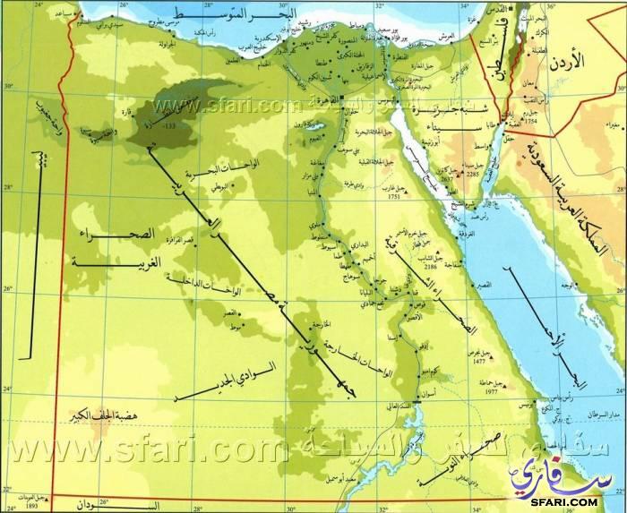 @jahorne in #egypt,  #Siemens Mobility has been selected as the
to build the initial trainsets for the North egypt and south