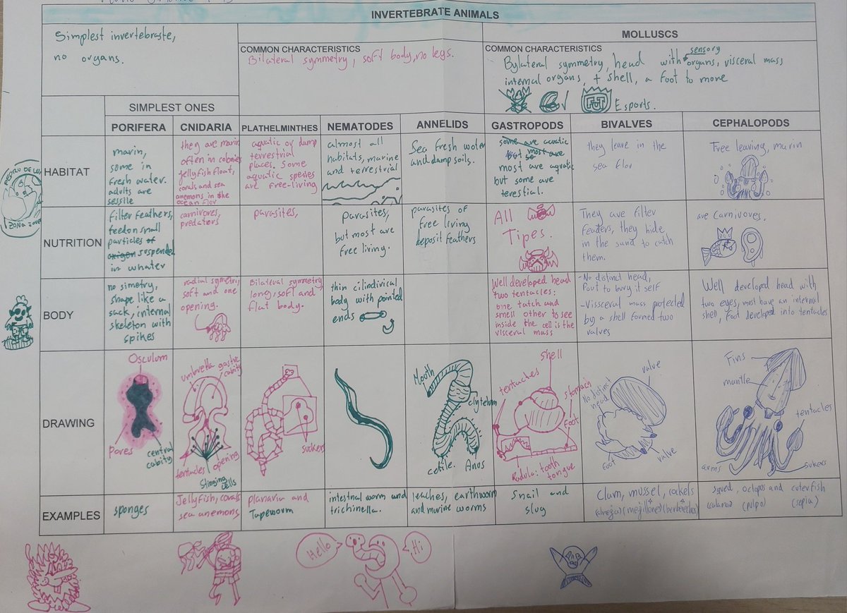 He terminado la unidad de los invertebrados en 1ESO. Os cuento cómo la hemos trabajado.
Al comenzar les entregué una tabla en blanco en A3 con los grupos que ibamos a estudiar. Ese sería su cuaderno en esta unidad. 
La debían completar lo mejor posible porque era su "chuleta"...