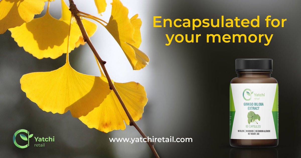 yatchiretail.com ✨👩‍👧‍👦 💐 🎁 ❤️ 👵 🧁 🌹 🥂 🙏 🌳❤️

#GinkgoBiloba your way to memory magic! ✨ Brighten autumn walks with #GoldenFanTrees, then boost brainpower with #LivingFossil extracts.  Share your #HealthHack with #GinkgoGoodness and #NatureWisdom