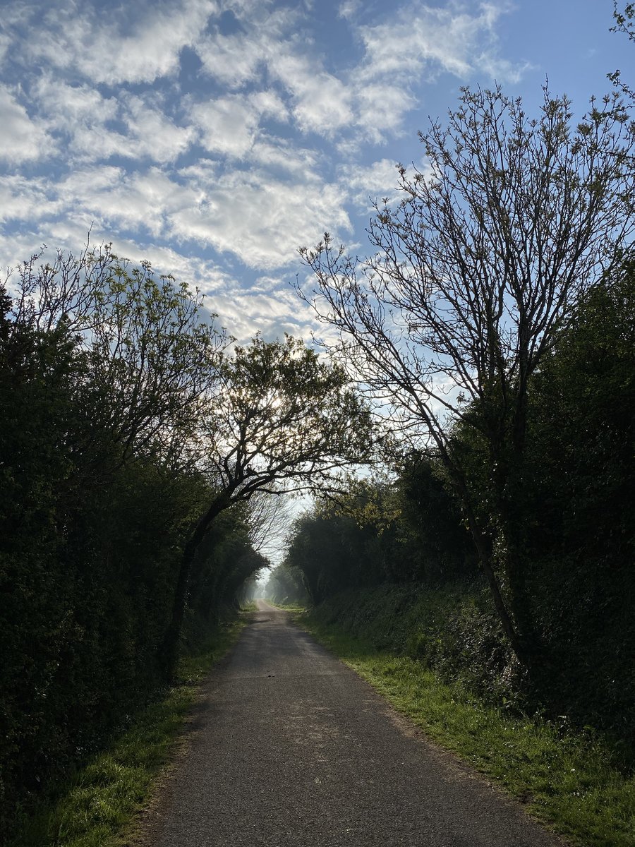 Bit of mist and magic on the trail

#cameltrail #cornwall #bikehire #wadebridge #padstow #cyclehire