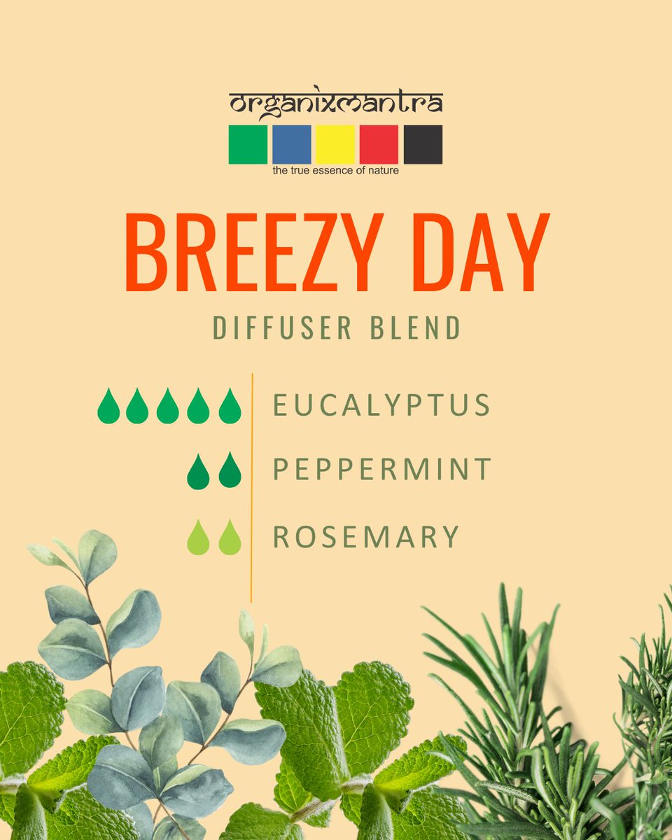 Embrace freshness with our 'Breezy Day' diffuser blend! Eucalyptus, peppermint, and rosemary oils combine for clarity and calm. 🌿 #Aromatherapy #Wellness #BreatheEasy #OrganixMantra Try Today bit.ly/45GlKXd